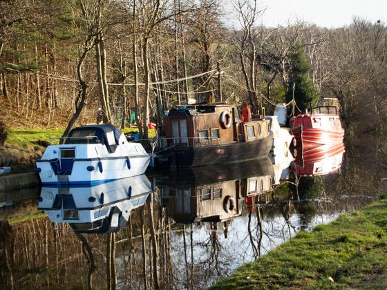 Cluster of Boats